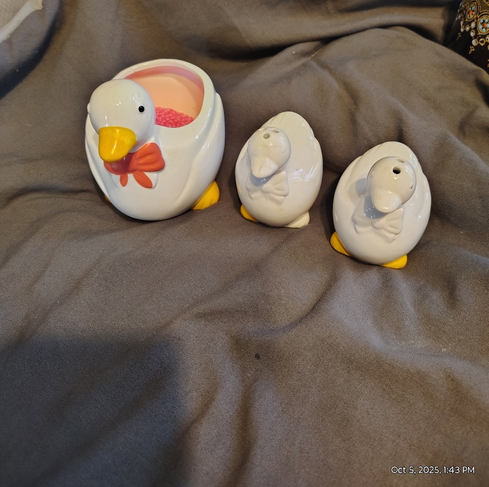 Duck Ceramic Salt and Pepper Shakers with Sponge Holder